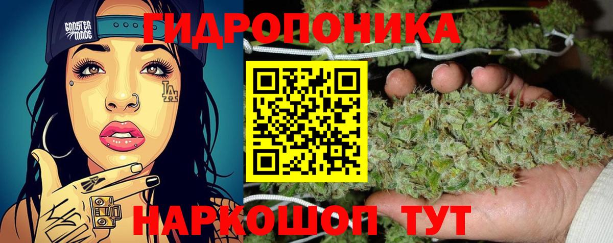 Конопля план Новый Уренгой